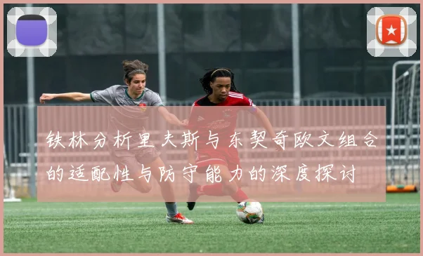 铁林分析里夫斯与东契奇欧文组合的适配性与防守能力的深度探讨