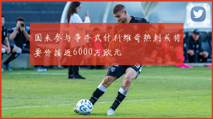 国米参与争夺武什科维奇热刺或将要价接近6000万欧元