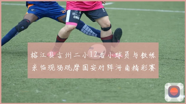 榕江县古州二小12名小球员与教练亲临现场观摩国安对阵河南精彩赛事